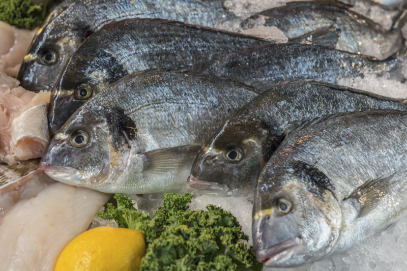 Come riconoscere orata di mare