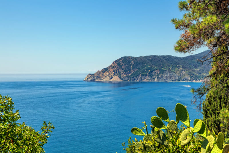 Dove si trova il Mar Ligure?