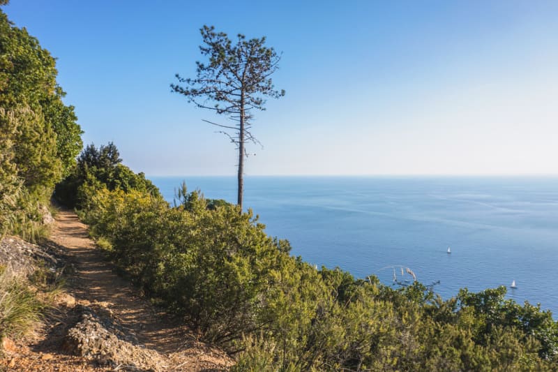 Quali parchi naturali si trovano in Liguria?