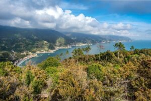Da che cosa è protetto l'ambiente ligure?