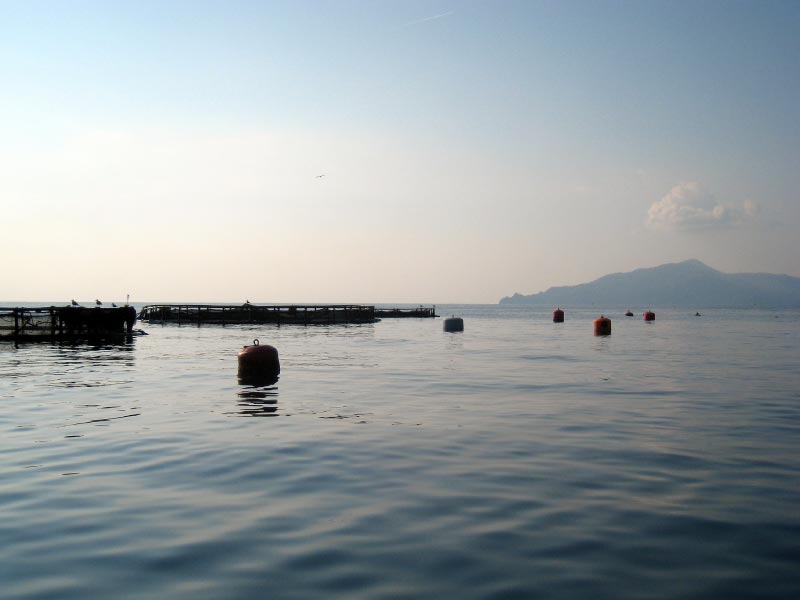img_mare_800x600