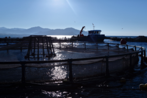 Progetto senza titolo-129