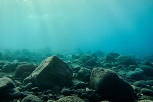 Cosa c'è negli abissi, profondità marine