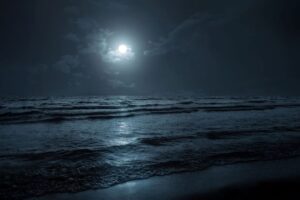 Come la luna influenza le maree? Come la luna influenza le maree
