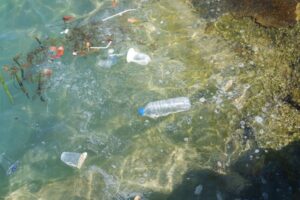 Come capire se il mare è inquinato, segnali